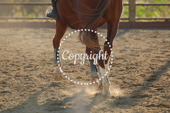 IMG_5684CRD2