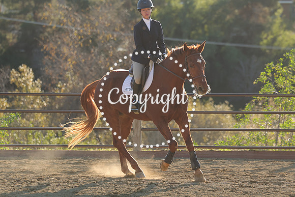 IMG_5750CRD2