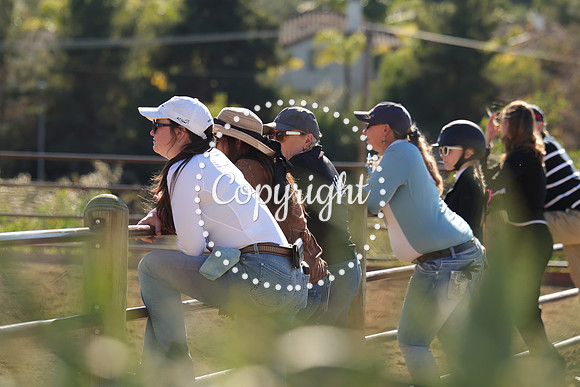 IMG_4566CRD2