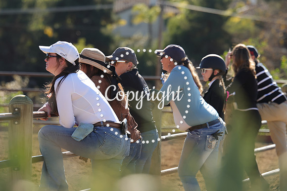 IMG_4568CRD2