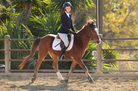 IMG_4577CRD2