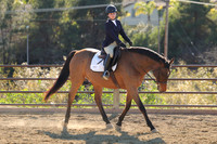 IMG_4598CRD2