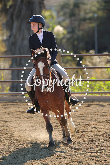 IMG_4602CRD2