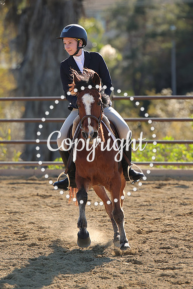 IMG_4601CRD2