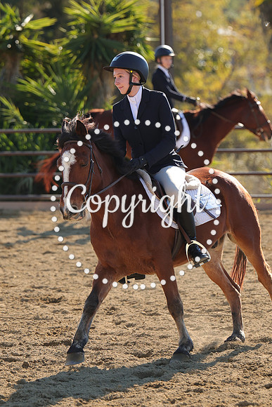 IMG_4604CRD2