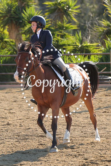 IMG_4624CRD2