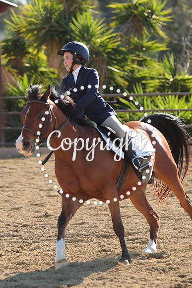 IMG_4626CRD2