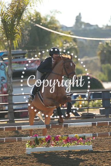 IMG_1163CRD1