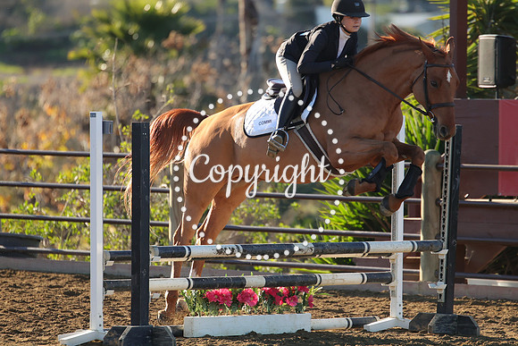 IMG_1161CRD1