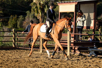 IMG_1177CRD1