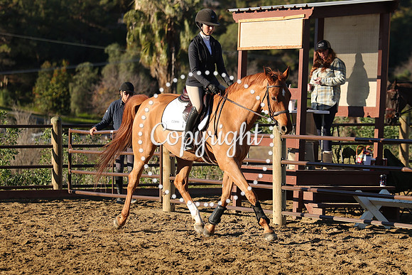 IMG_1177CRD1