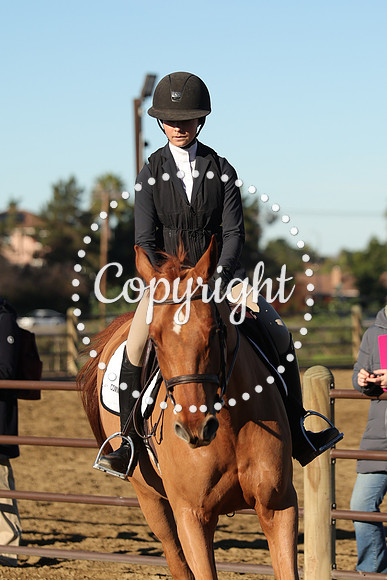 IMG_1179CRD1