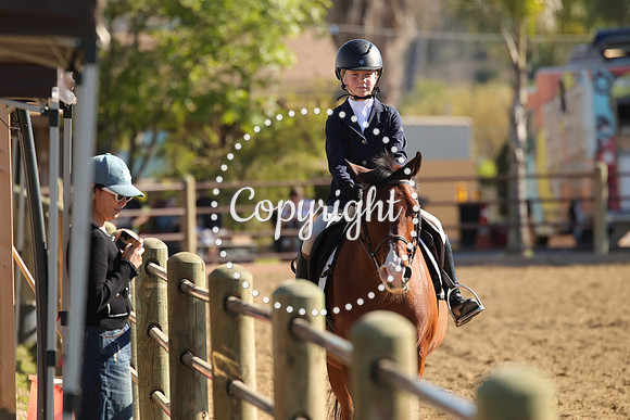 IMG_4151CRD2
