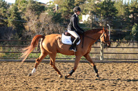 IMG_1184CRD1