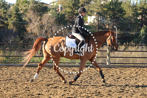 IMG_1184CRD1
