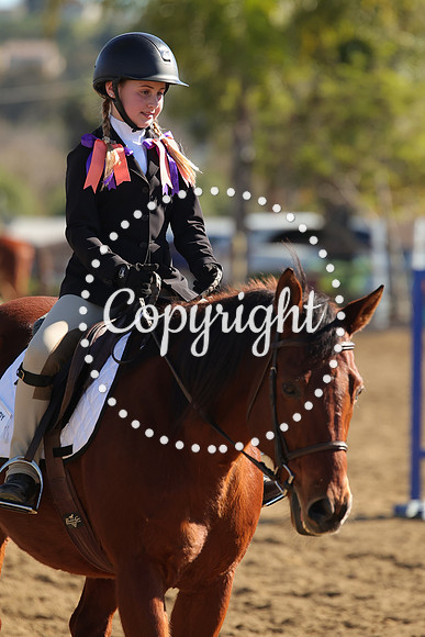 IMG_4159CRD2