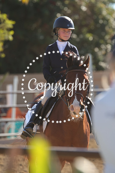 IMG_4171CRD2