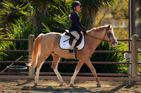 IMG_4196CRD2