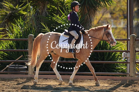 IMG_4196CRD2
