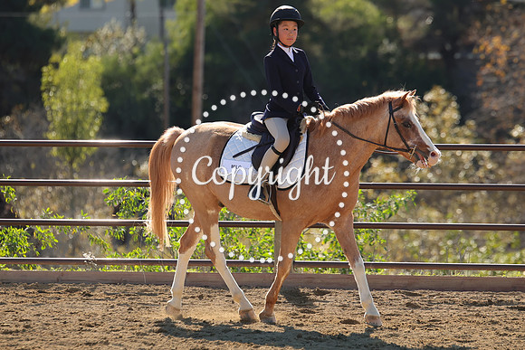IMG_4206CRD2