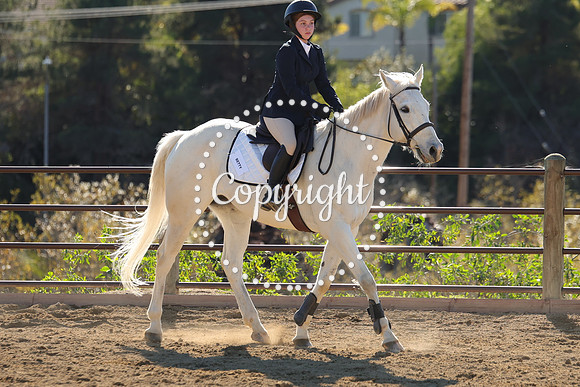 IMG_4224CRD2