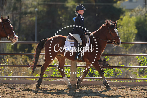 IMG_4242CRD2