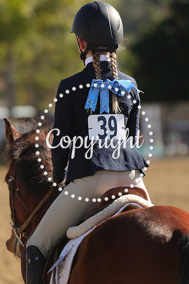IMG_4251CRD2