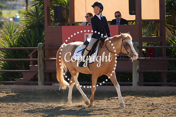 IMG_4255CRD2