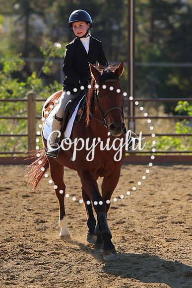 IMG_4285CRD2