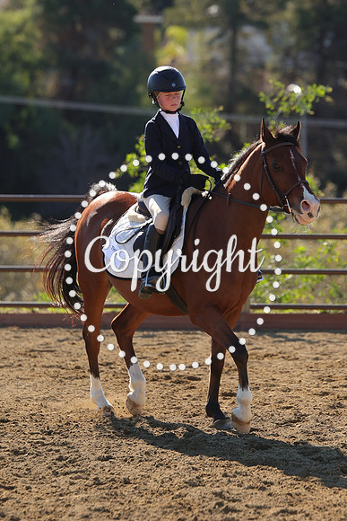 IMG_4292CRD2