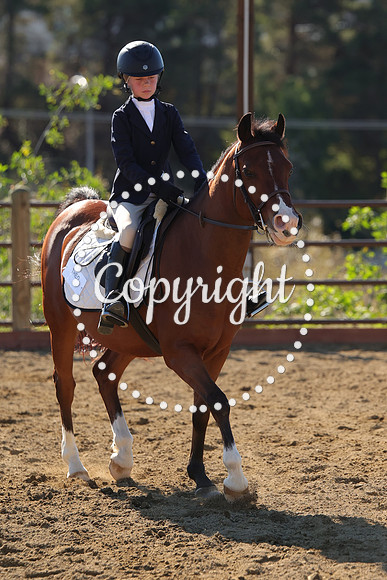 IMG_4296CRD2