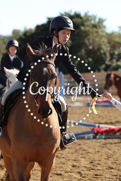 IMG_4327CRD2