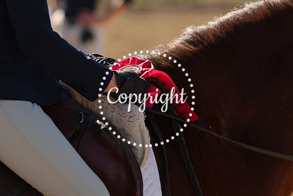 IMG_4329CRD2