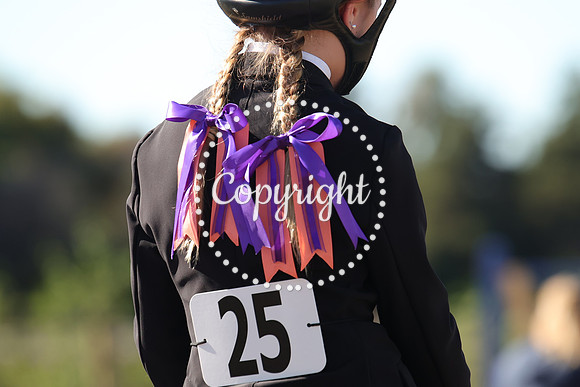 IMG_4337CRD2