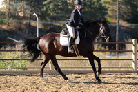 IMG_2295CRD1