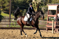 IMG_2311CRD1