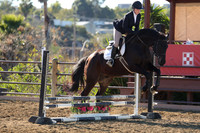 IMG_2337CRD1