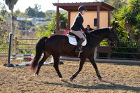 IMG_2346CRD1