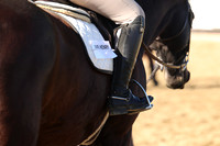 IMG_2368CRD1