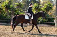 IMG_2354CRD1
