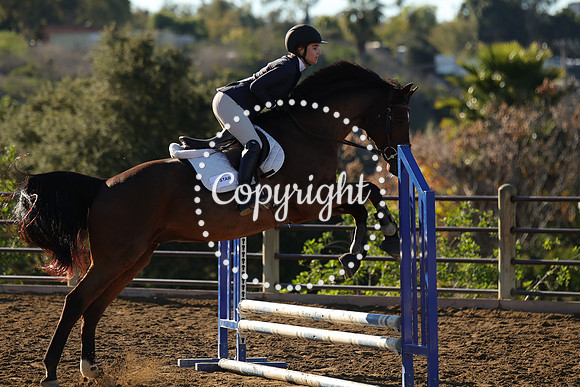 IMG_1584CRD1