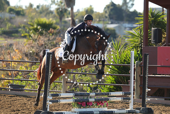 IMG_1603CRD1