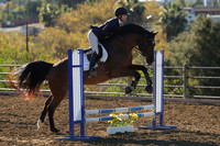 IMG_1595CRD1