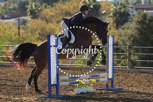 IMG_1595CRD1