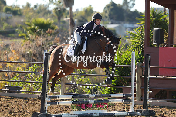 IMG_1604CRD1