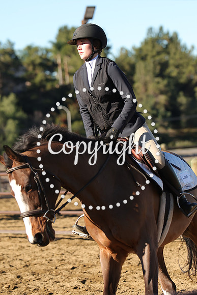 IMG_1742CRD1