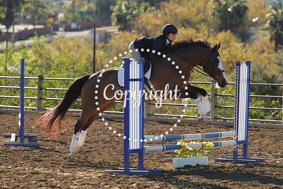 IMG_1744CRD1