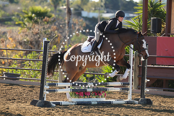 IMG_1755CRD1