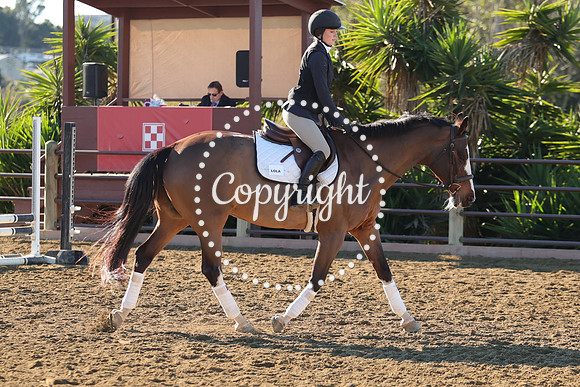 IMG_1764CRD1