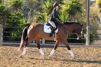 IMG_1772CRD1